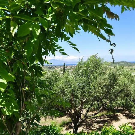 Casa Bella Vita